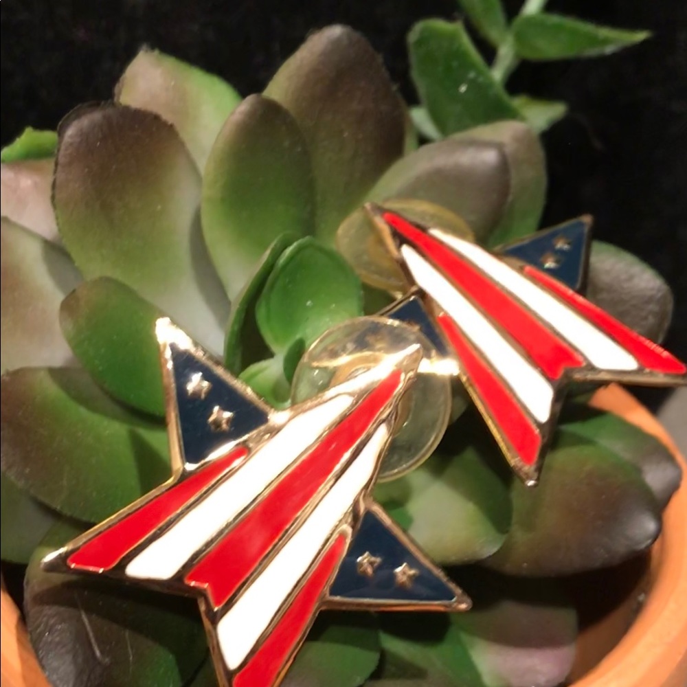 ⭐️ WE SALUTE YOU red white and blue earrings ⭐️